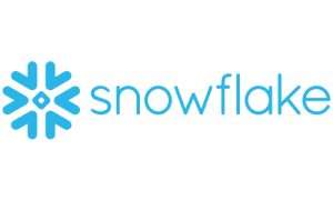 snow-flake